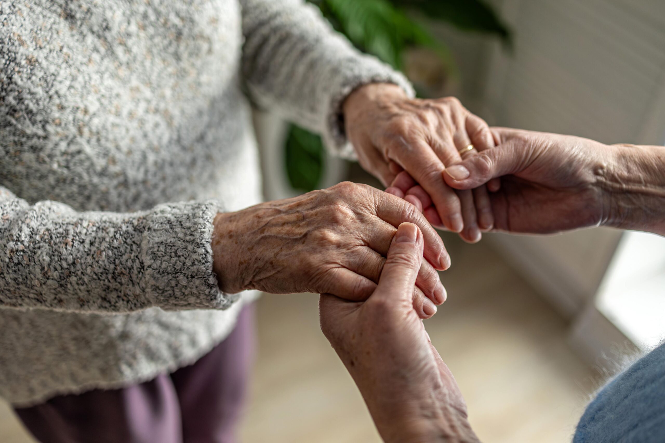 family holding hands close up